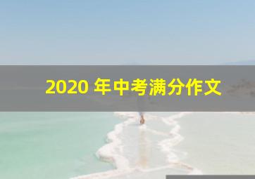 2020 年中考满分作文